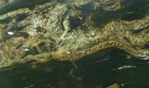 Black granite with dramatic gold and white veining